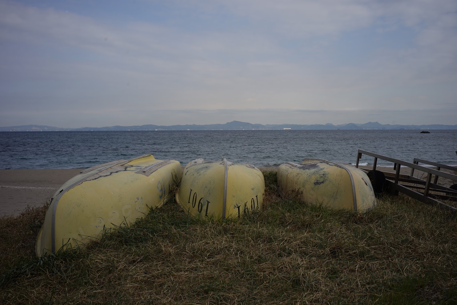 DSC06028.JPG