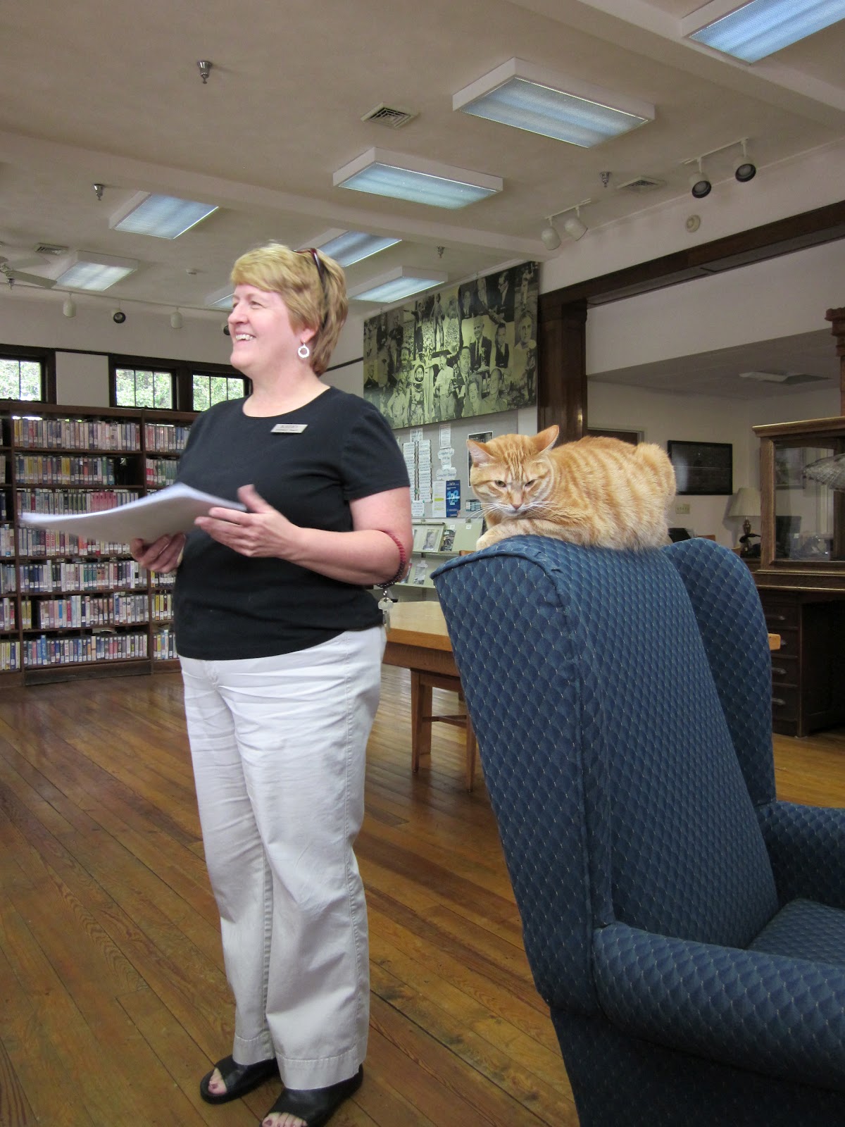 The Adventures of Chance, the Thorntown Library Cat: Mystery Solved