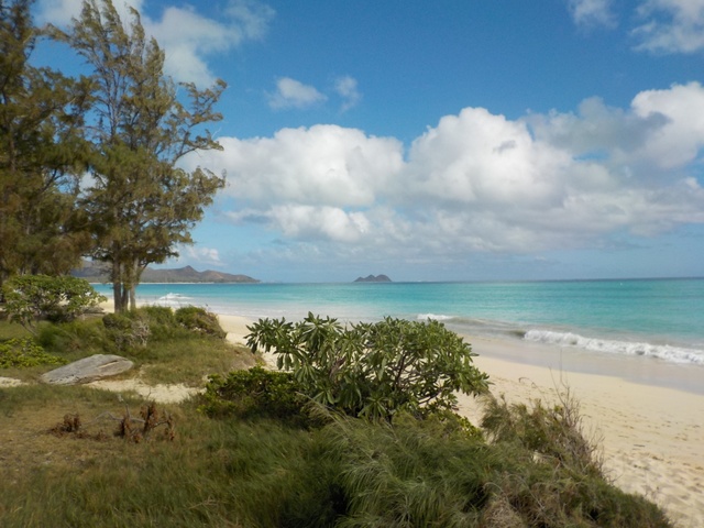 Plage de sable blanc à Oahu