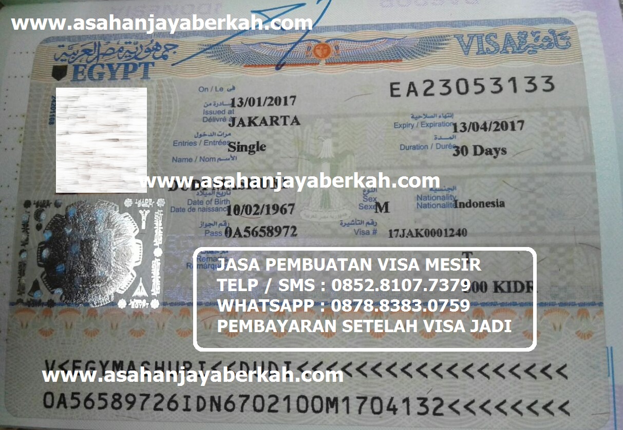 Syarat Membuat Visa Mesir | jasa pembuatan visa Syarat Membuat Visa Mesir | jasa pembuatan visa