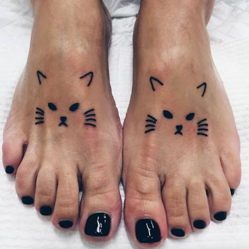 Estes simpáticos gatinhos