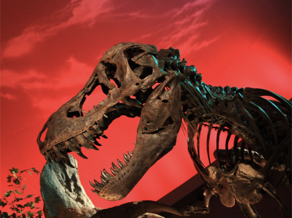 modern day t rex