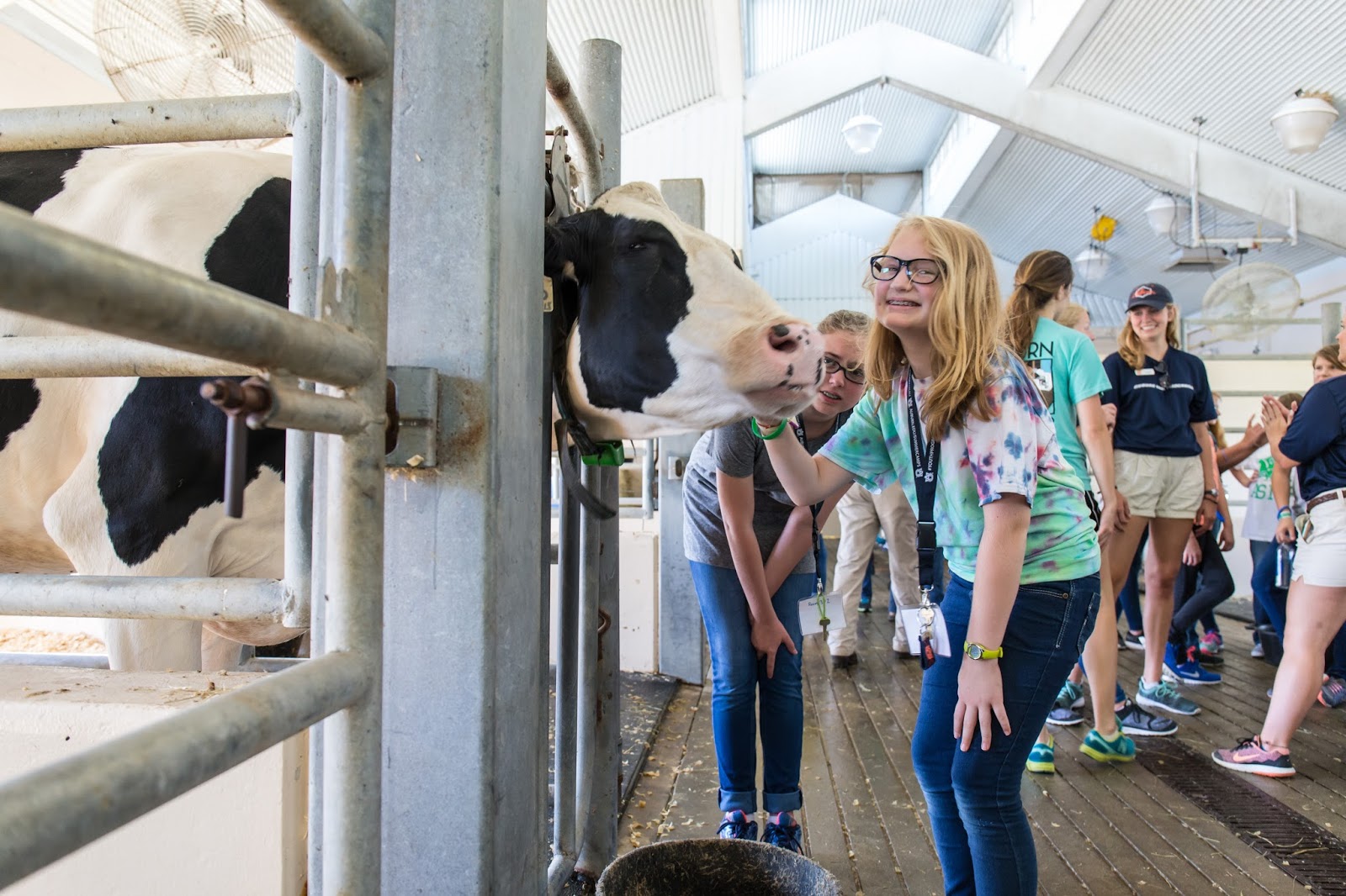 Cat and DOG Chat With Caren Do You Know an Aspiring Veterinarian? Help Them Enter This Vet Camp