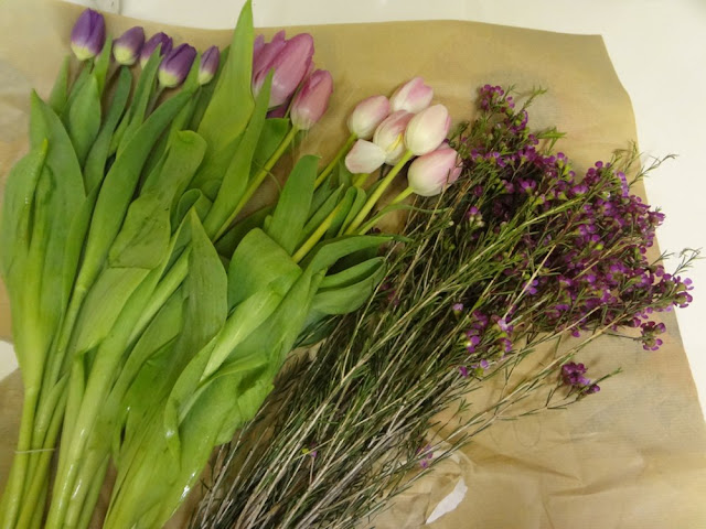 purple and pink tulips for bouquet