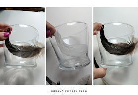 modge podge chicken feathers to glass easily