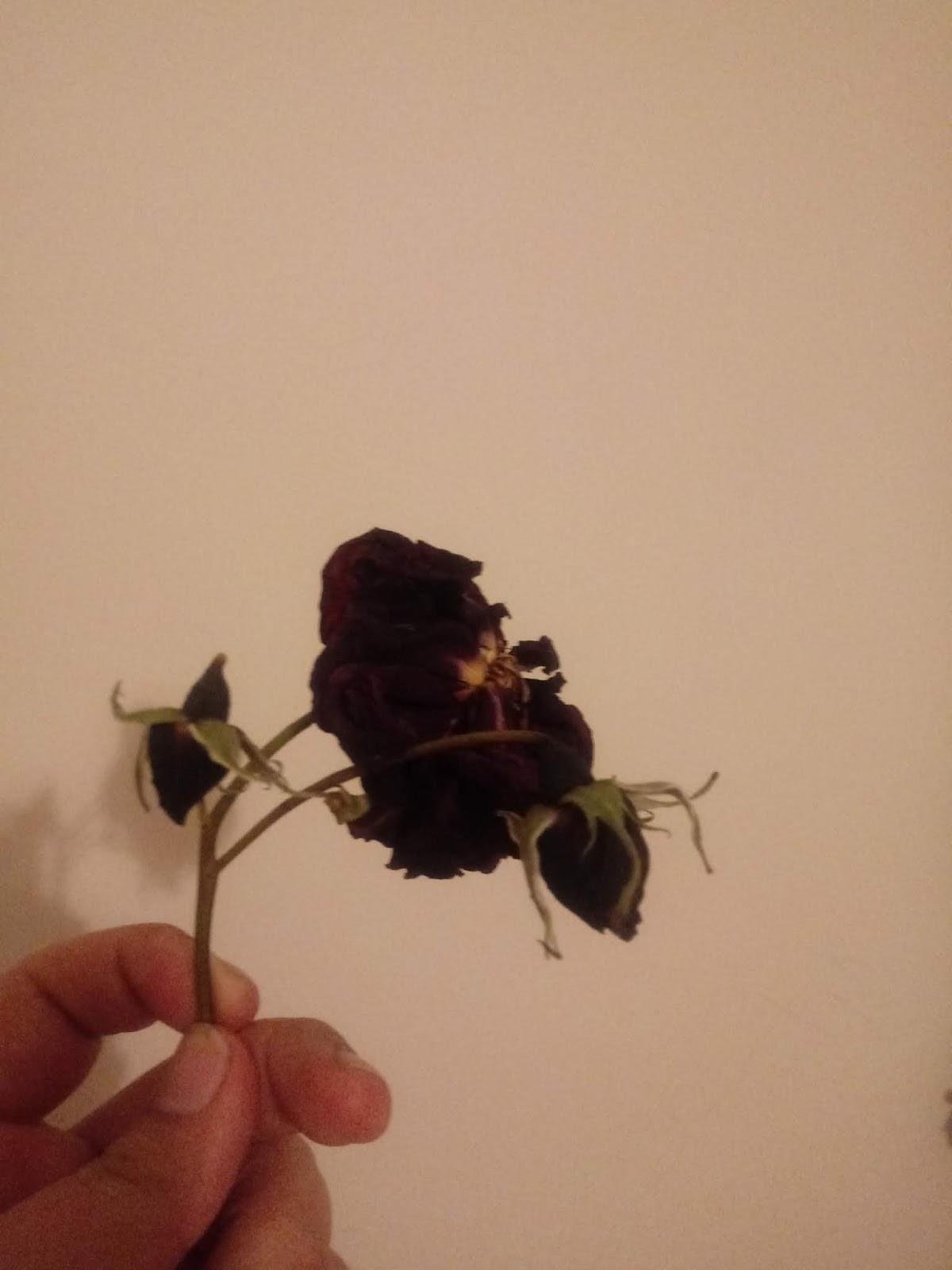 Bir Yas Alma Belirtisi Olarak Kalp Yorgunlugu