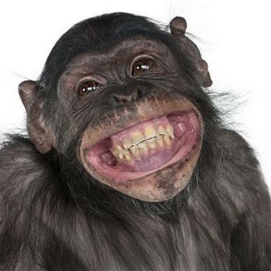 Colegul care seamana pe un animal