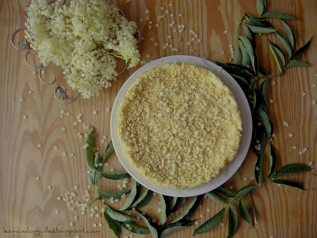 torta di ricotta e sambuco