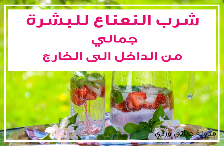 حياتي وردي فوائد شرب النعناع للبشرة لأن جمالي من الداخل للخارج