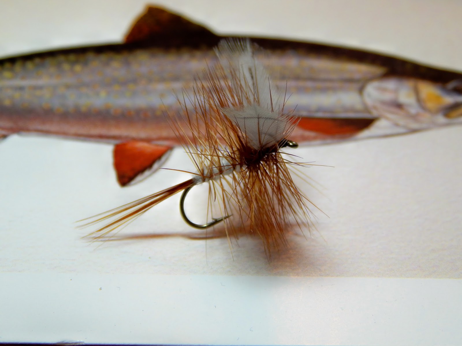 Small Stream Reflections Catskill Flies, Plus.......