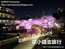 六本木:與別不同的東京夜櫻