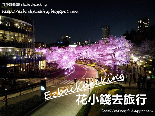 六本木:與別不同的東京夜櫻