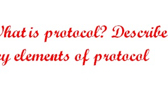 What is protocol? Describe the key elements of protocol - MRM