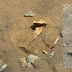 NASA Curiosity Photographed Fossilized Thigh Bone On Mars