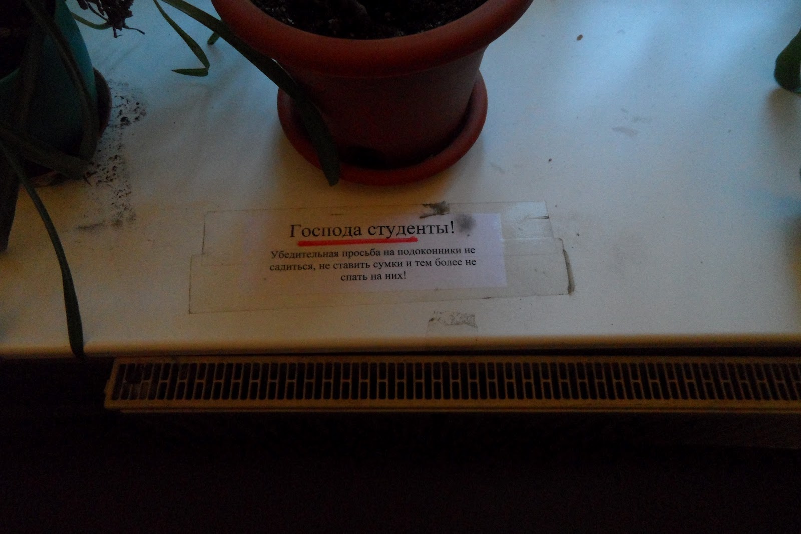 Объявление не садиться на подоконник