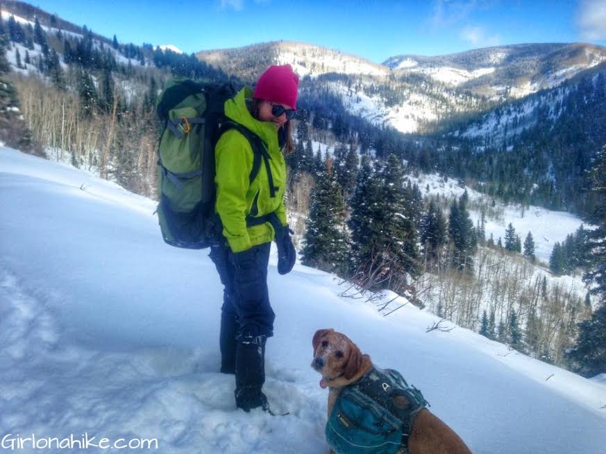 Backpacking with Dogs Girl on a Hike