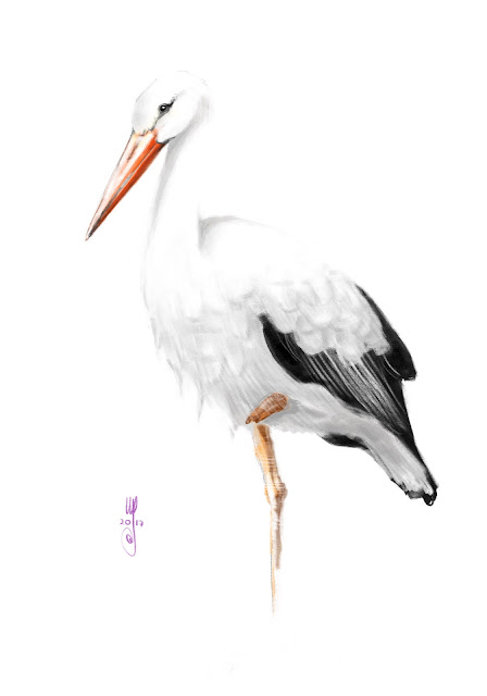 White Stork bird painting by Artmagenta