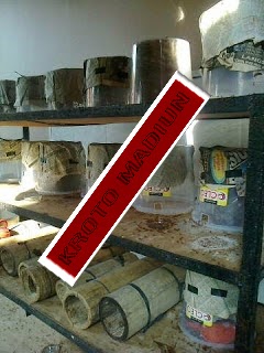Ternak Kroto Tanpa Master Ratu Kroto Madiun Komunitas Peternak