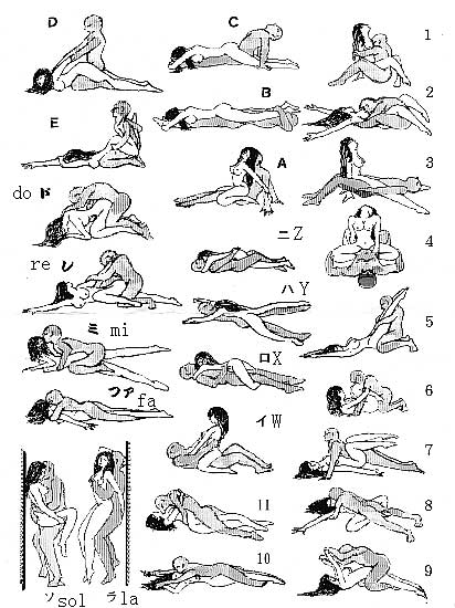 Sexual Position Diagrams 7