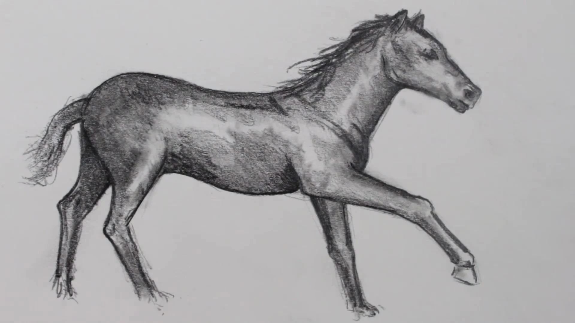 رسم حصان بالرصاص