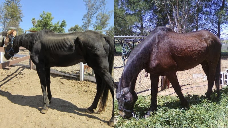 Max 30+ year TWH - Saved Sept.2012