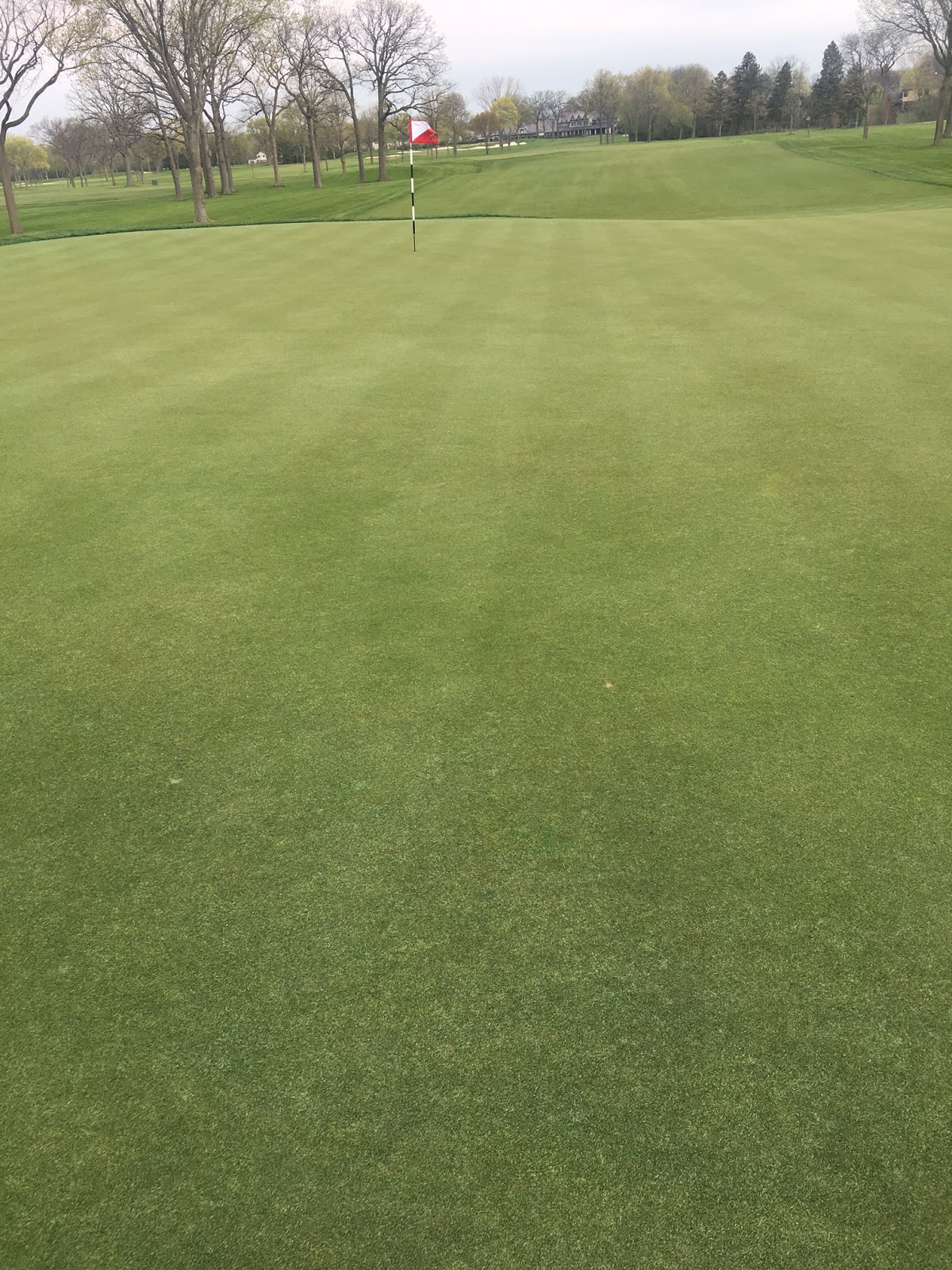 Northmoor Country Club Golf Course Operations Different Bentgrass Greens