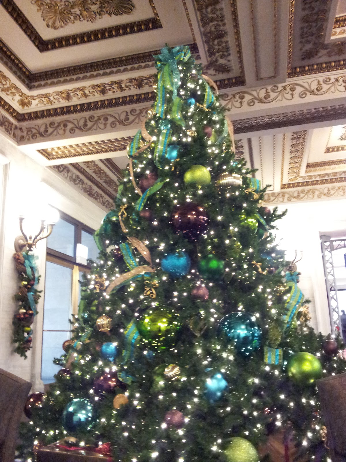 Notes from The Bubble Top Ten Chicago Christmas Trees  don't miss