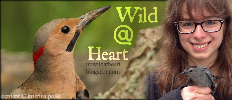 Wild at Heart