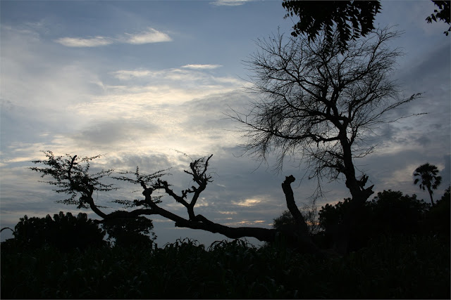 La noche llega a Faoye