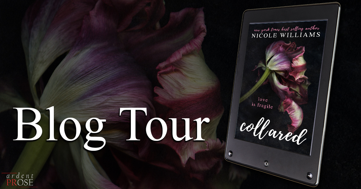 Book Spotlight: Collared by Nicole