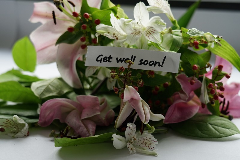 Some Tips to Help You in Getting the Best Get Well Flowers Creative