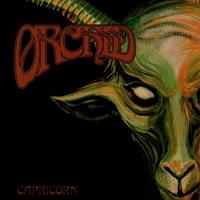 [2011] - Capricorn