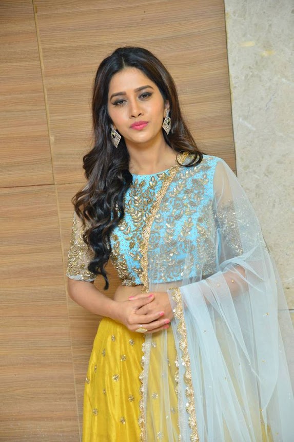 Nabha Natesh at Nannu Dochukunduvate Pre-Release