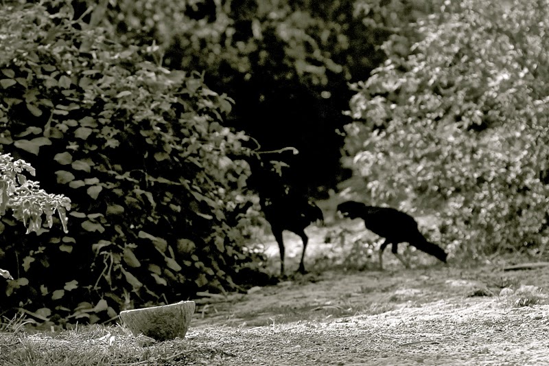 BLOG MODE HOMME PREPPY CONSEIL STYLE PARIS ELEGANCE TENDANCE DANDY BLOG MODE HOMME PREPPY CONSEIL STYLE PARIS ELEGANCE TENDANCE DANDY