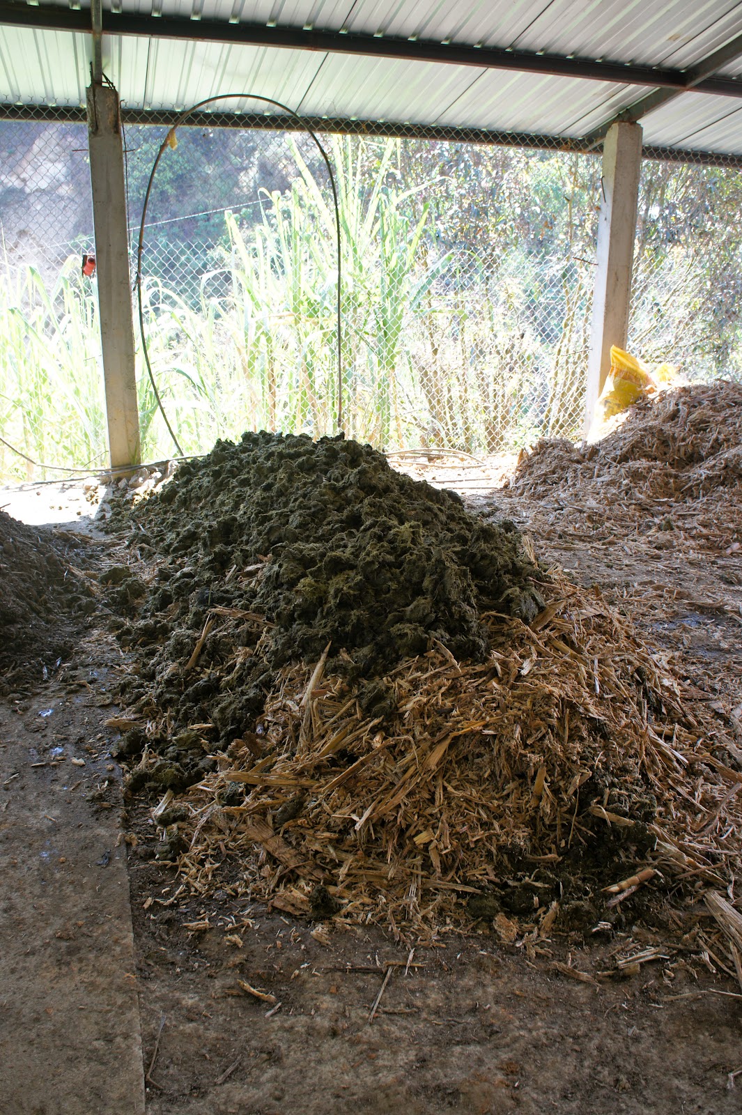 Pensamientos Fermenting Cow Poo Lessons in Homebrew Biol, an Organic