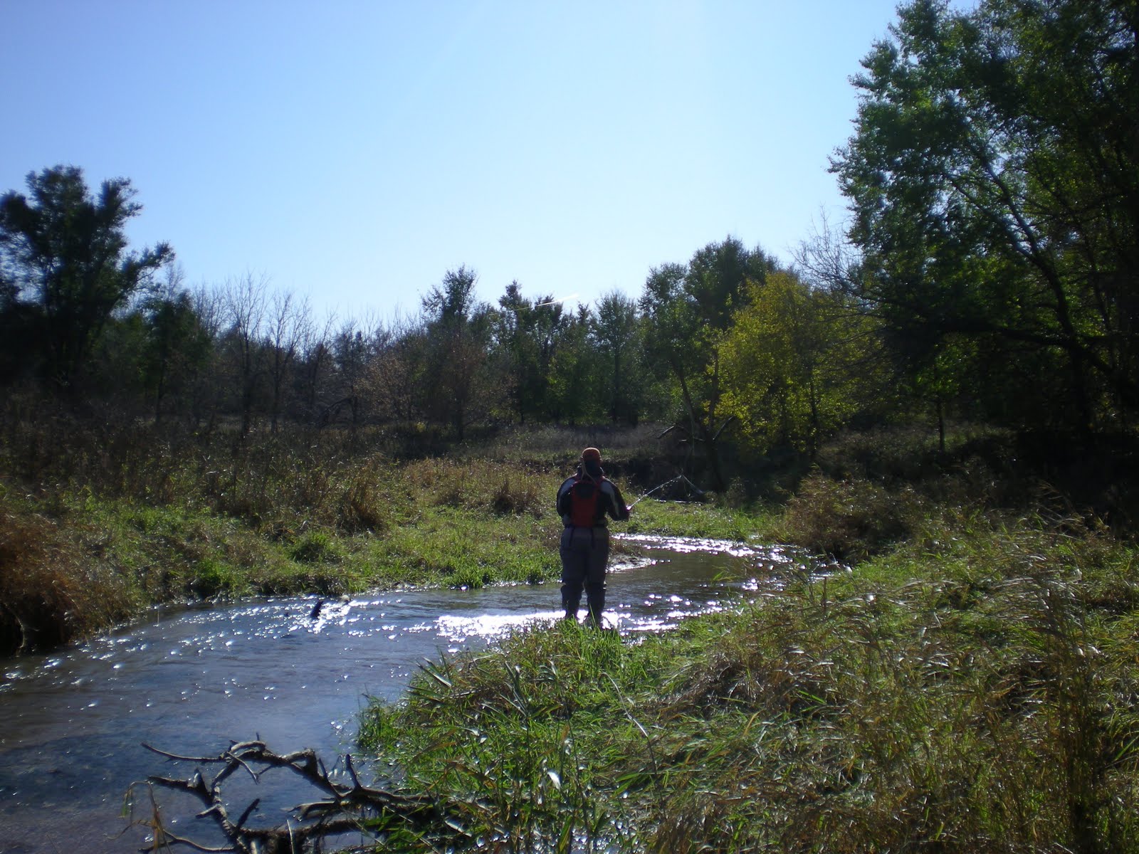 Brookies and Browns Nebraska Trout Streams