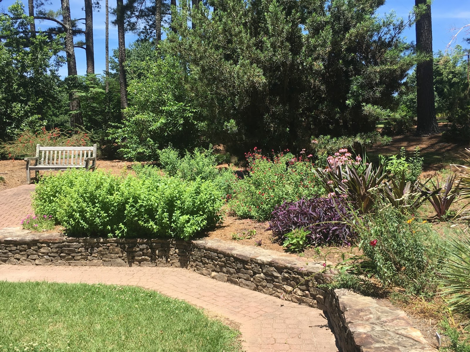 Growing Southern Garden Blog