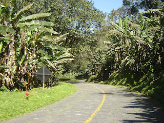 Parte em paralelepípedo na Estrada da Graciosa II