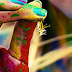 Facebook Timeline Cover Flowers - Girl Colored And Flower