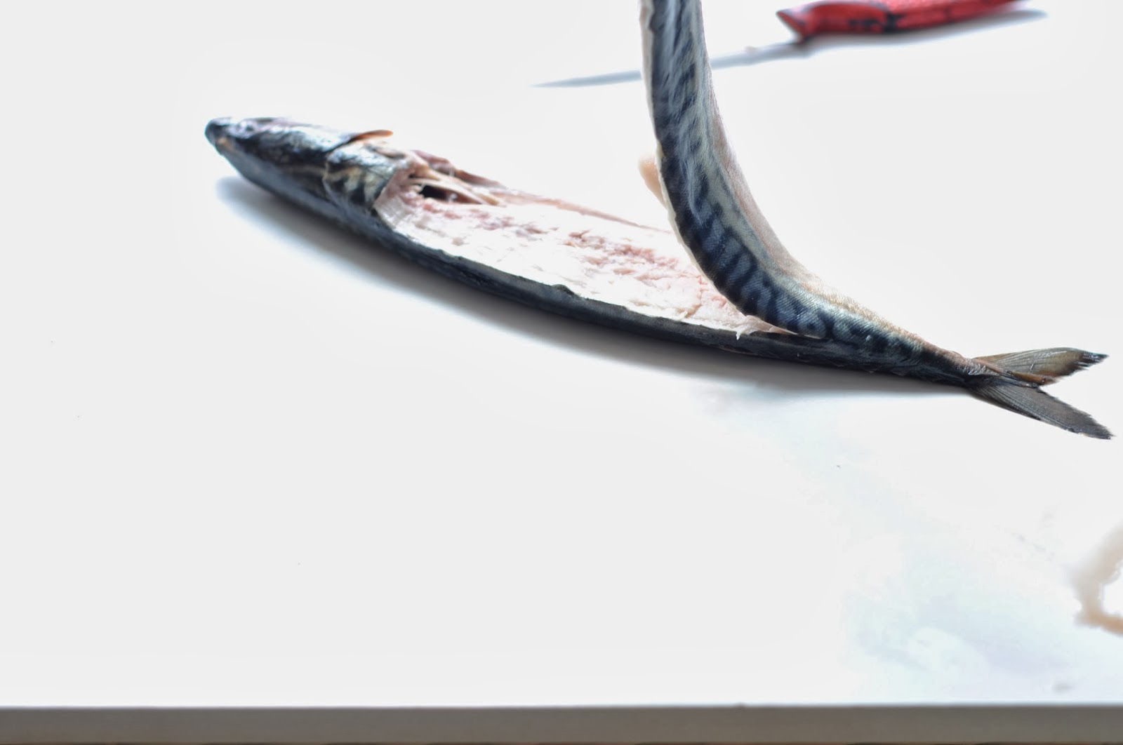 Simple Food Poached Mackerel with Mushroom and Fennel Sauce