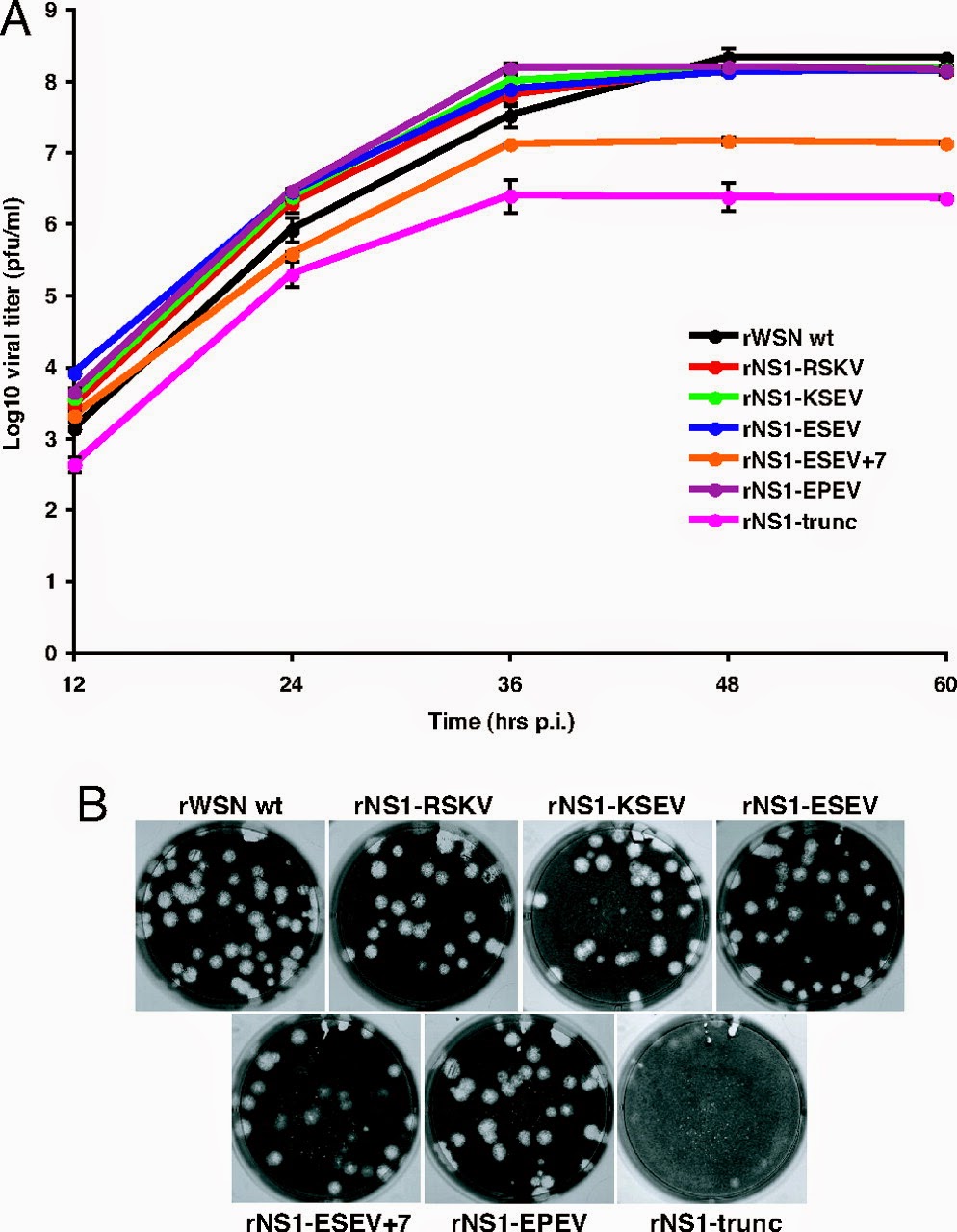 CONCEPTS IN VIRUS TITRATION