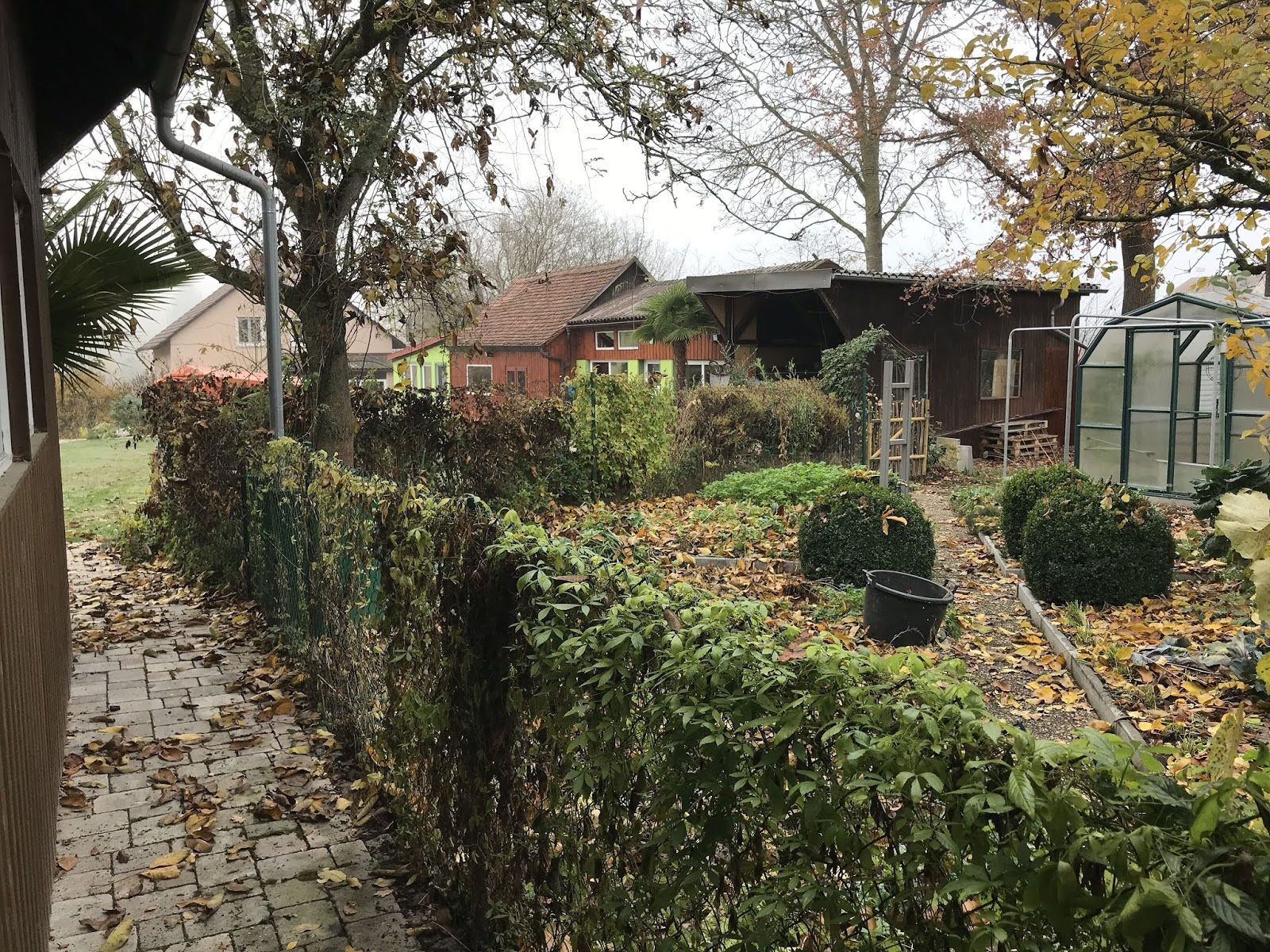 Guten Tag Ich Will Mein Leben Zuruck 2017