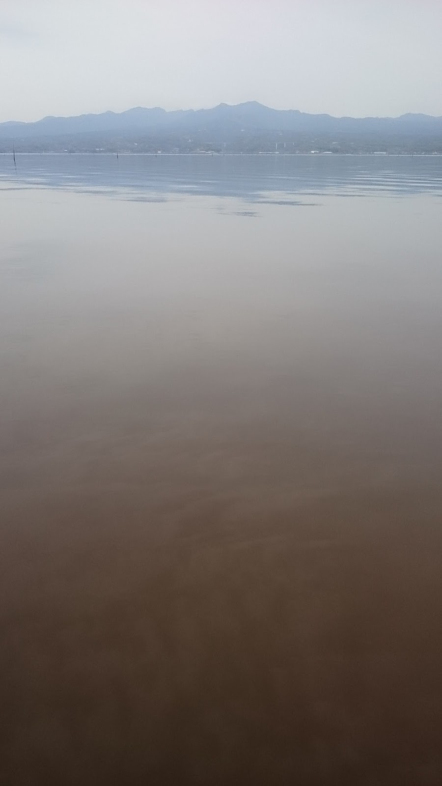衛星生物海洋学 有明海観測
