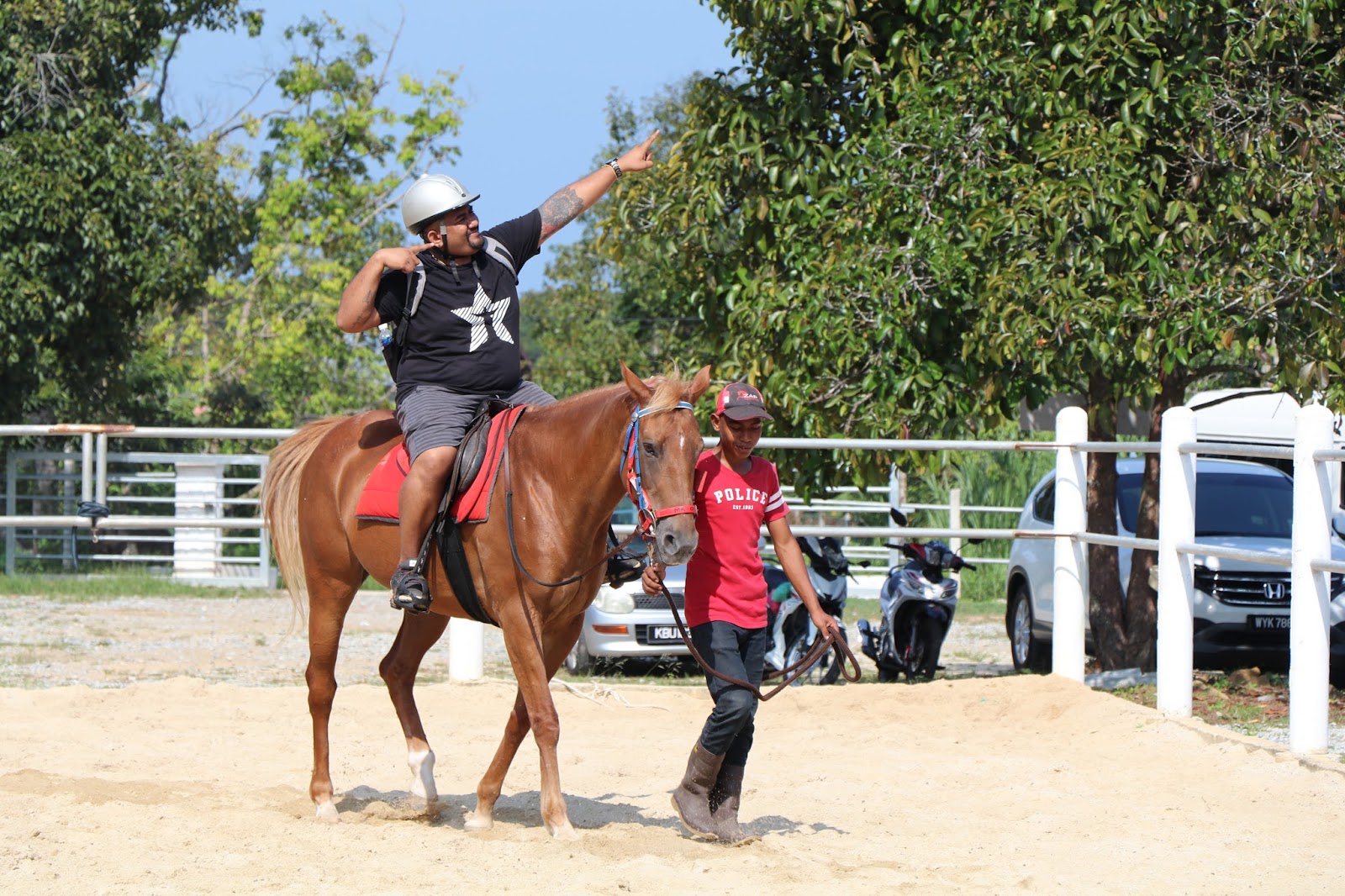 Ultimate Horse Training and Stud farm , Kedah Malaysia