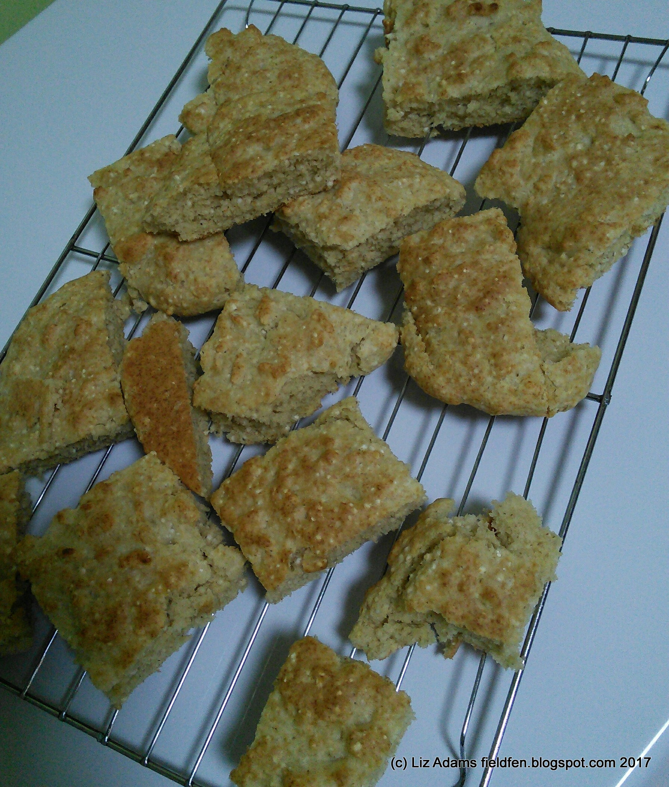 Field and Fen Journal and barley biscuits