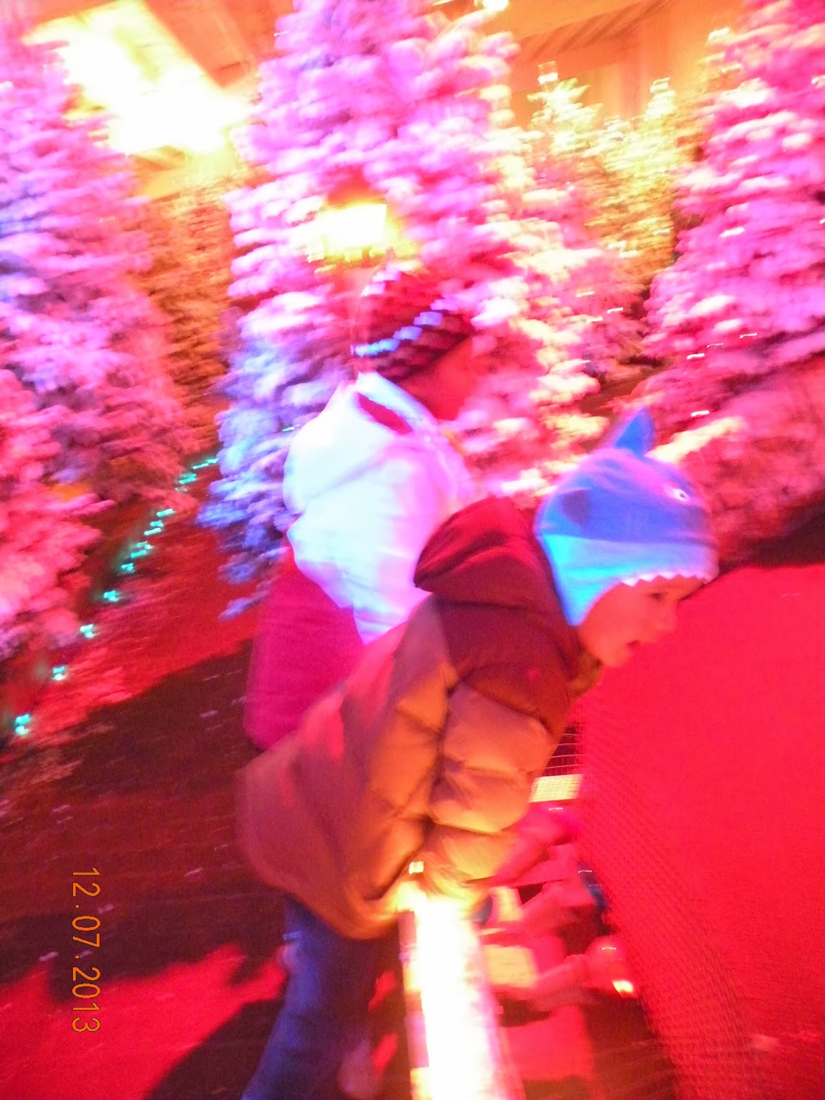 Morris Family Memories Alpenrose Christmas Land