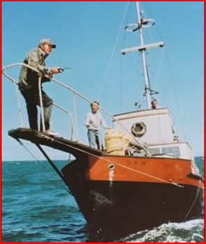 Kirkham A Movie A Day: Robert Shaw Festival Day 6 JAWS (The Greatest ...