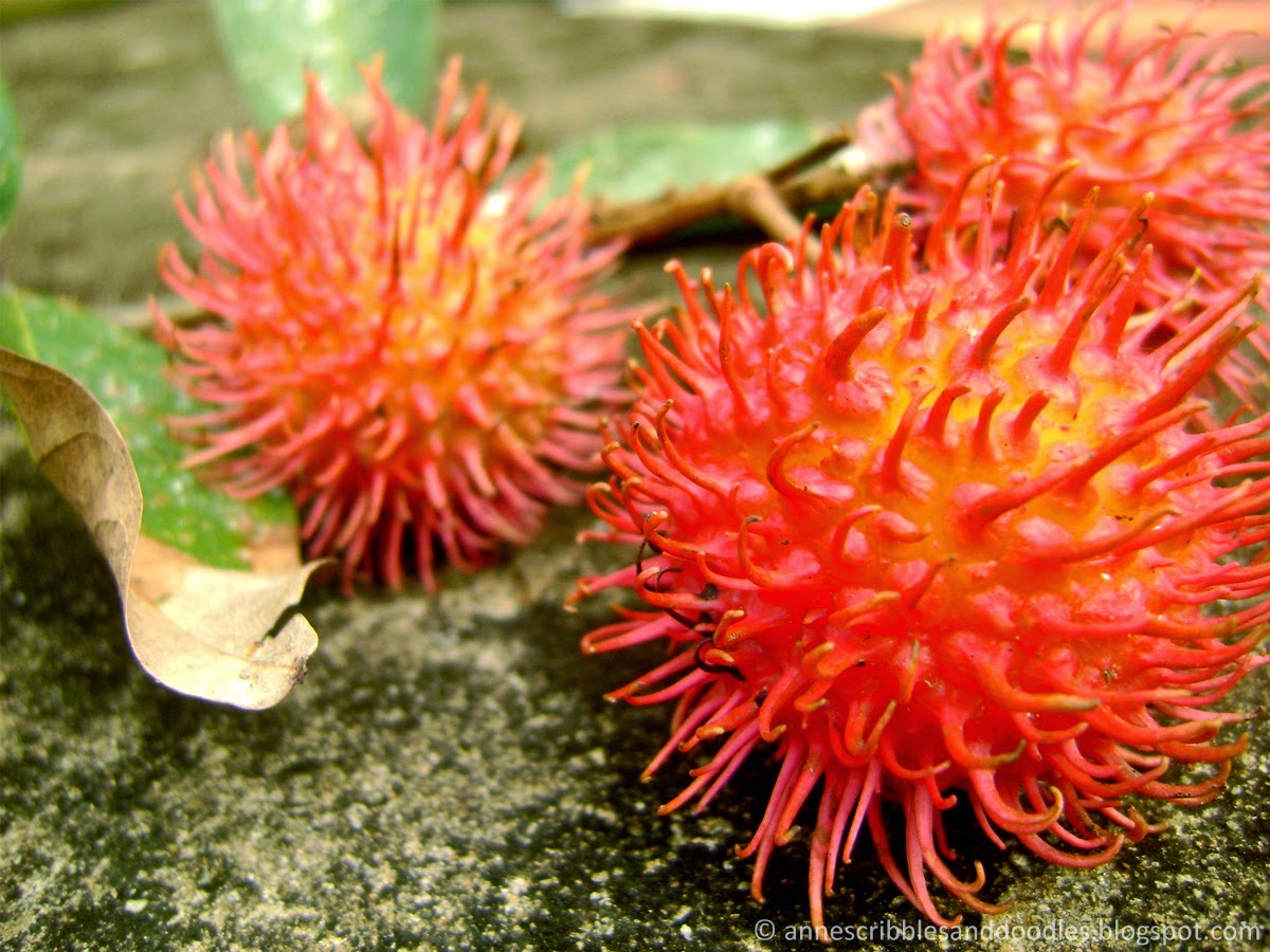 Rambutan