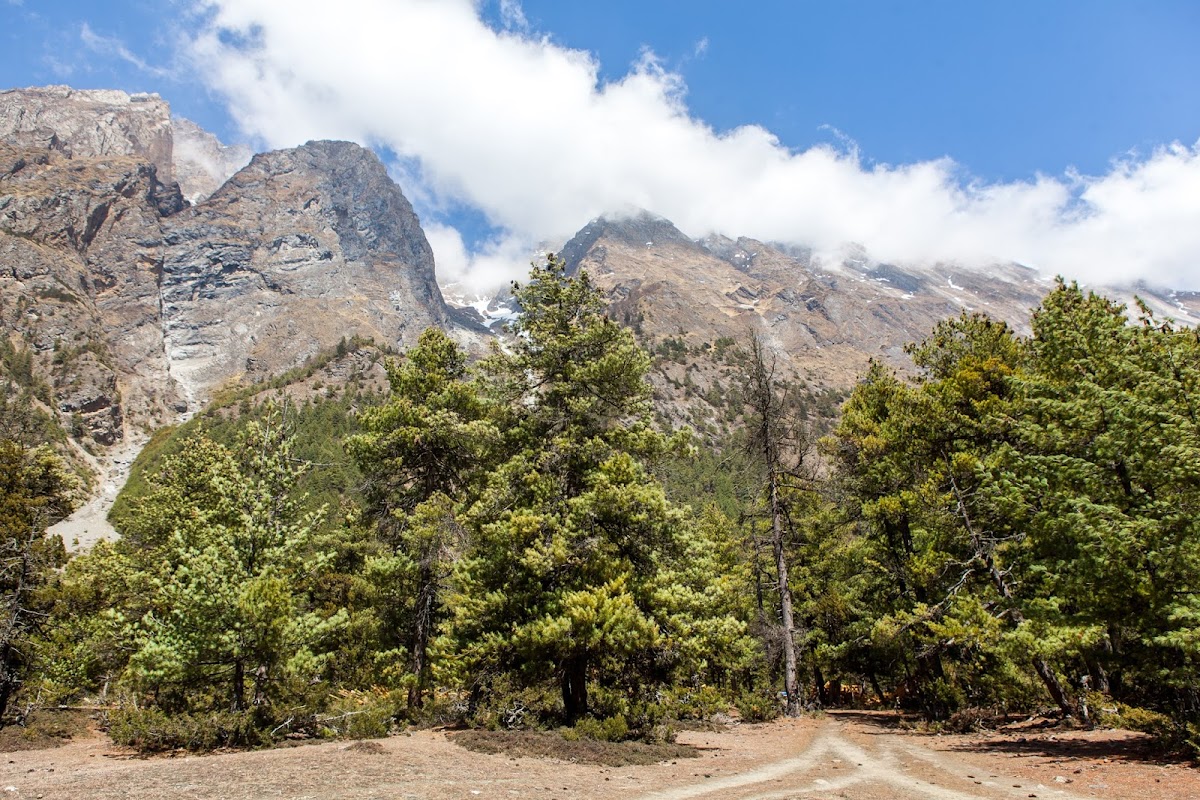 200км по красно-белым черточкам.. Around Annapurna. март-апрель 2017