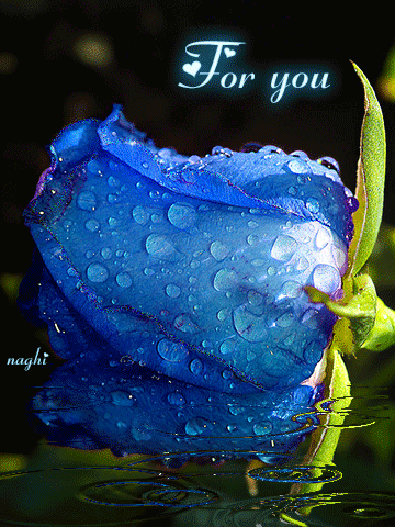 For+You+Animation.gif
